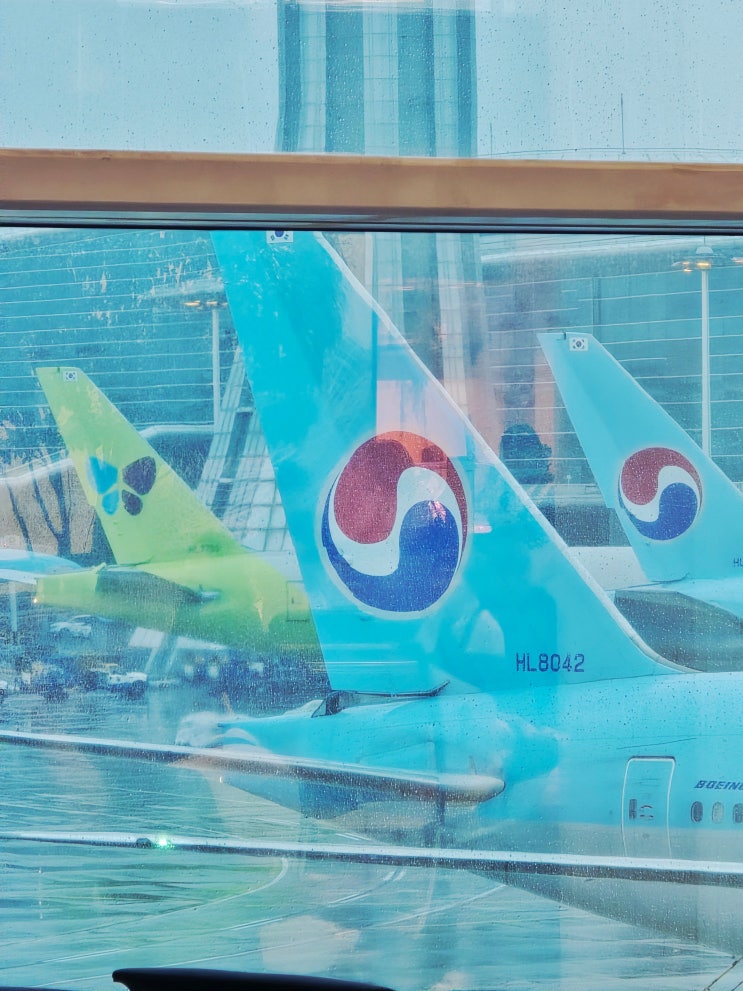  여행 블로그 수익화 세시간전 크리에이터 선택 이유 후기