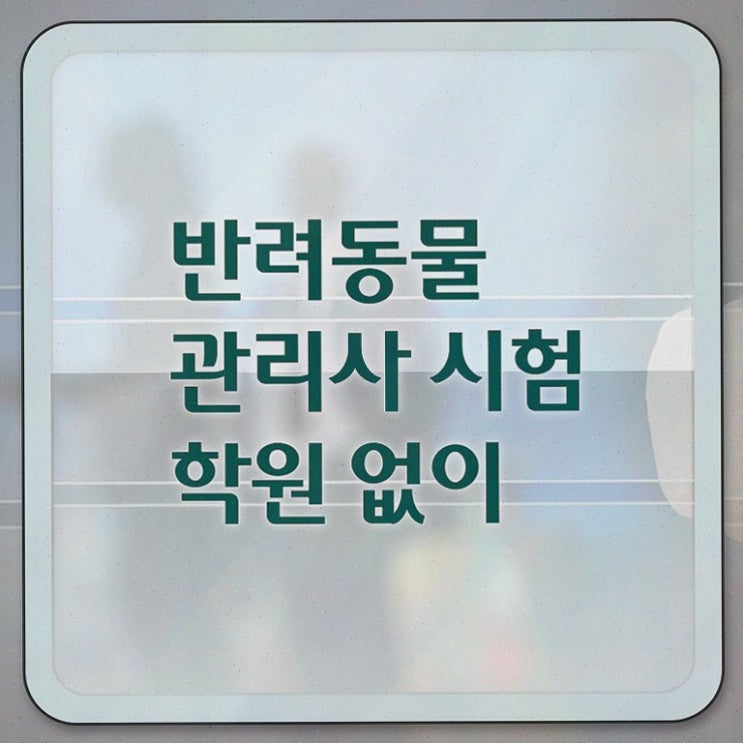  반려동물식품관리사 , 반려동물관리사 자격증 준비한 방법 여기만 보세요