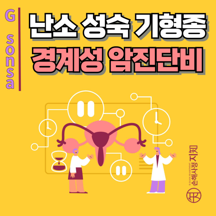  난소 성숙 기형종 - D27 코드여도… 2008년 이전 보험이면 경계성종양 인정됩니다. - [보험금, BA+DA]