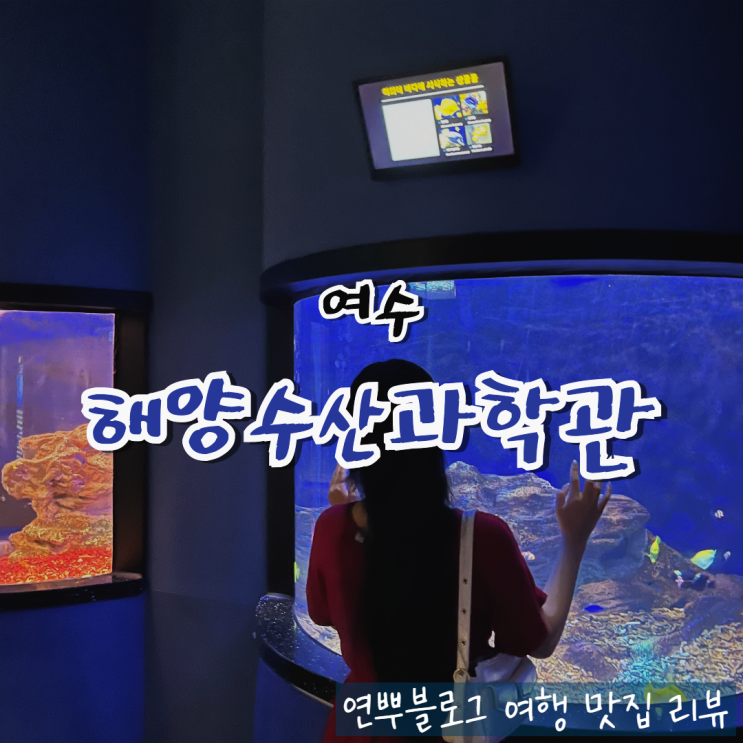  여수 가볼만한곳 해양수산과학관 여수여행 추천