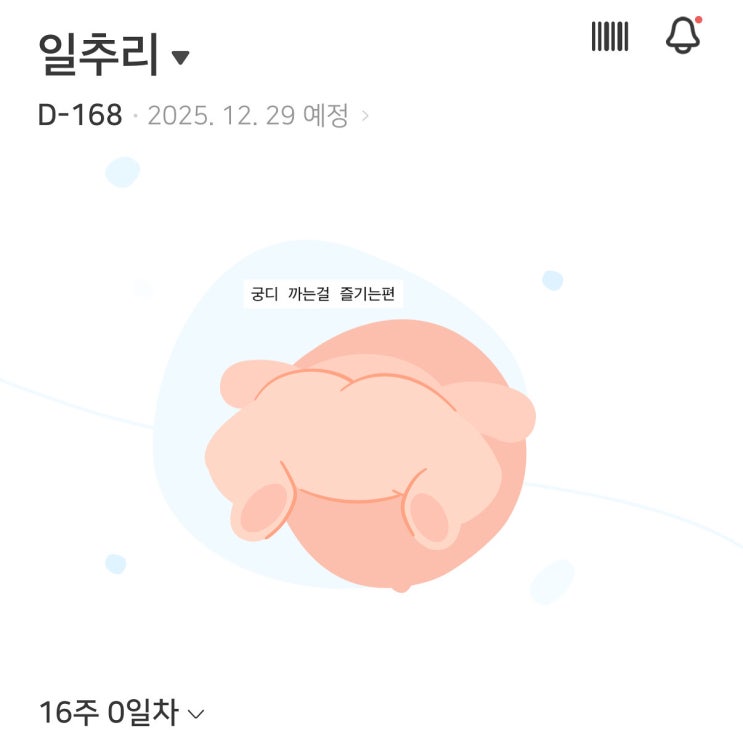  임신 16주 초음파 성별확정 아들맘 당첨!