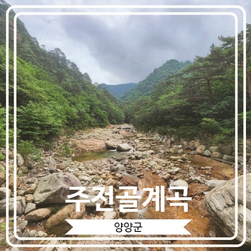  [주전골계곡] 평탄한 산책로와 데크길로 구성 되어 있어 설악산에서 트래킹 하기 좋은 곳