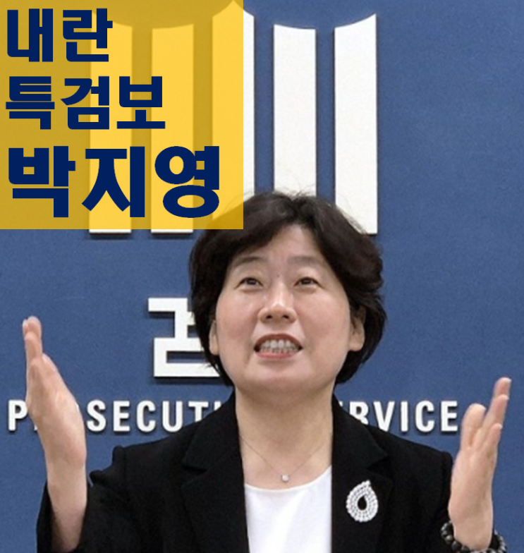 나이 고향 학력,<b>윤</b> 전 대통령 <b>강제구인</b> 시도 및 <b>실패</b> 원인