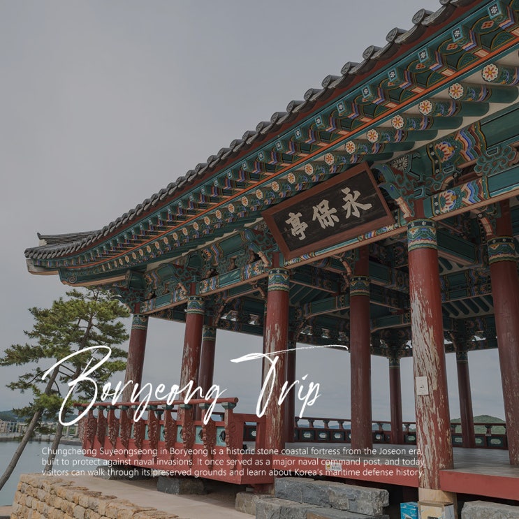  충남 보령 가볼만한곳 바다 충청수영성