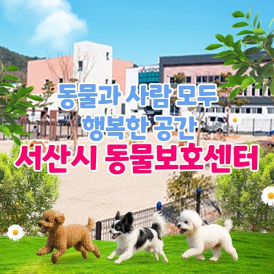 사진 2