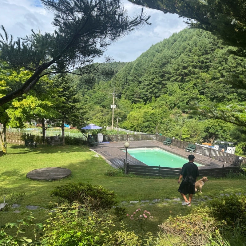 평창듀오애견수영장계곡펜션