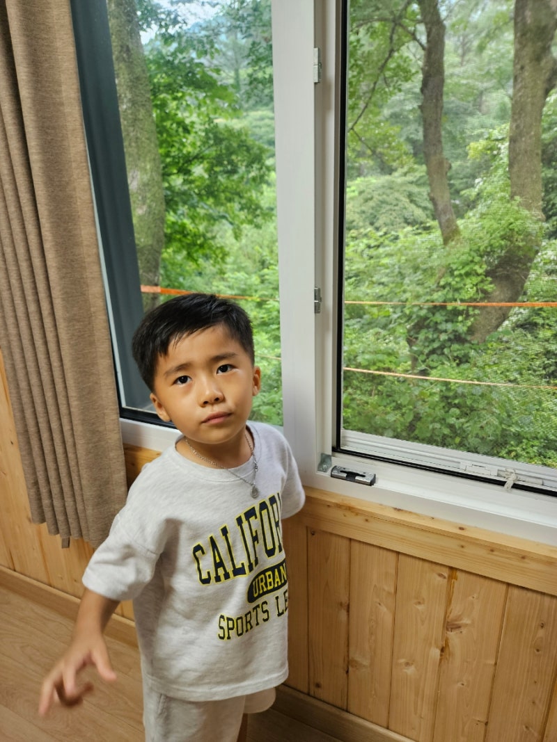 유명산자연휴양림 숲속의집 오소리 계곡 물놀이 휴양관 캠핑