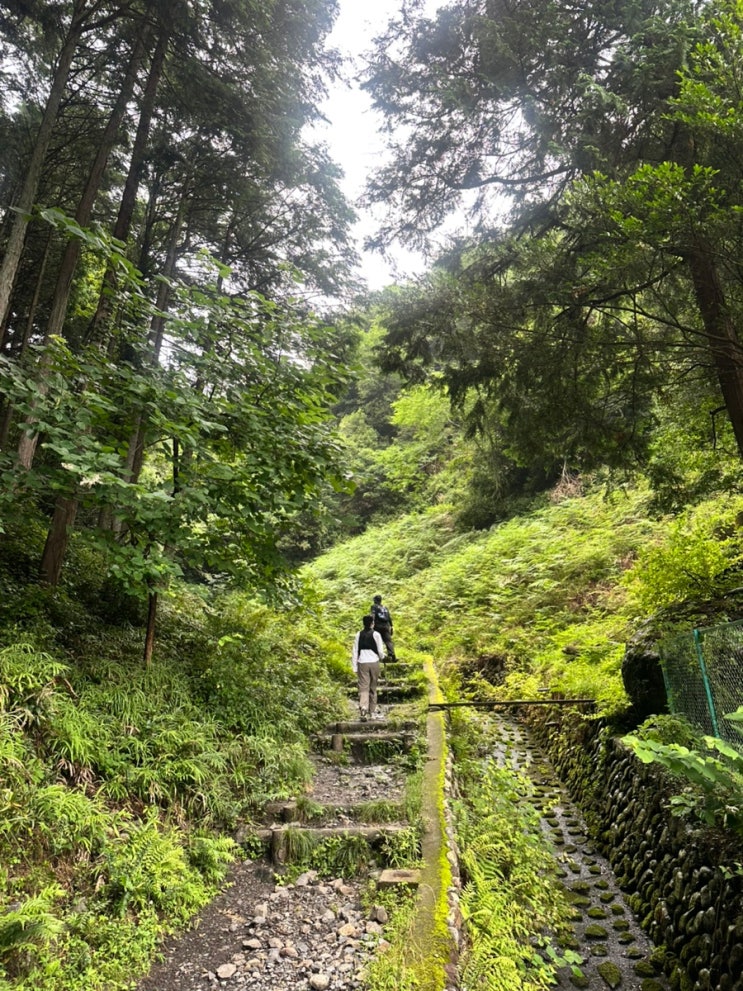  일본생활#163 데이트하기 / 도쿄 타카미즈산 등산하기️