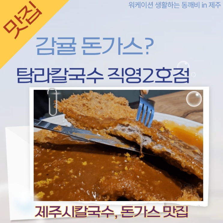  '탐라칼국수 직영2호점' 제주시 칼국수와 감귤 돈까스는 어떤 맛?