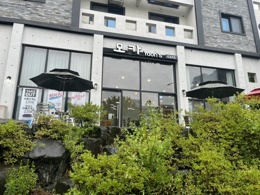 모카윤스 사진 1