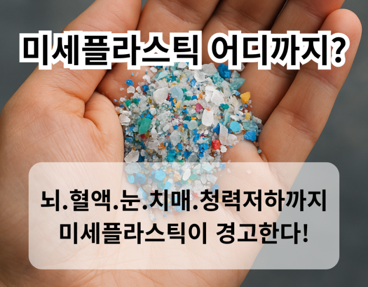  미세플라스틱, 뇌·혈액·눈까지 침투…치매·청력저하 유발 경고