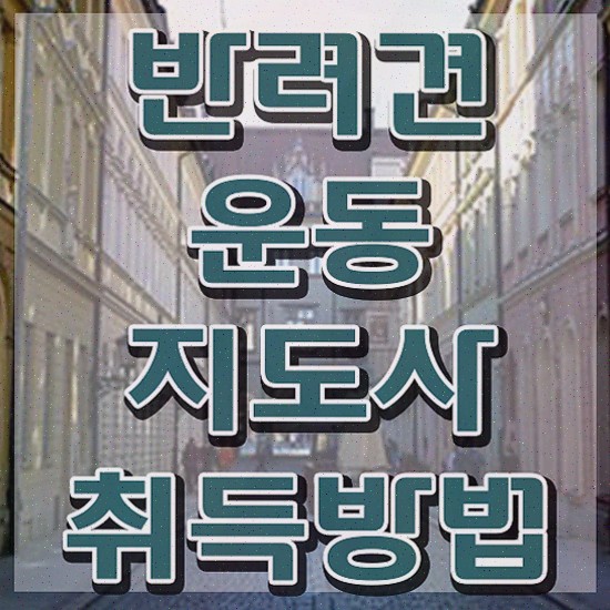  반려견운동지도사 무료 , 반려견운동지도사자격증 간단하게 취득한 과정 소개