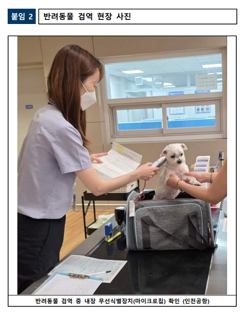  반려동물 해외여행, 검역없이 출국 불가! Traveling Abroad with Pets? Quarantine Is Mandatory! 반려동물검역 dog travel abroad