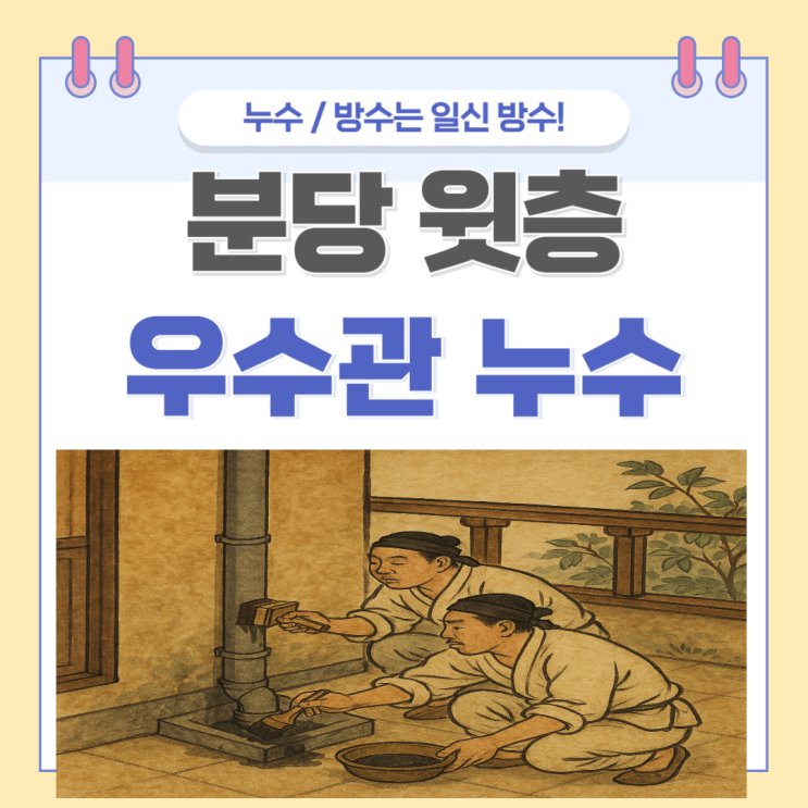  분당 우수관 누수 아파트 아랫집 천장 물샘 곰팡이 방수공사로 해결!