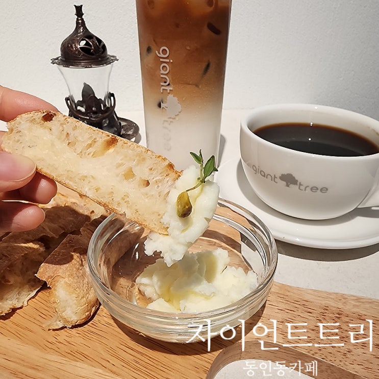  동인동 카페 자이언트트리 수제 카이막 맛집