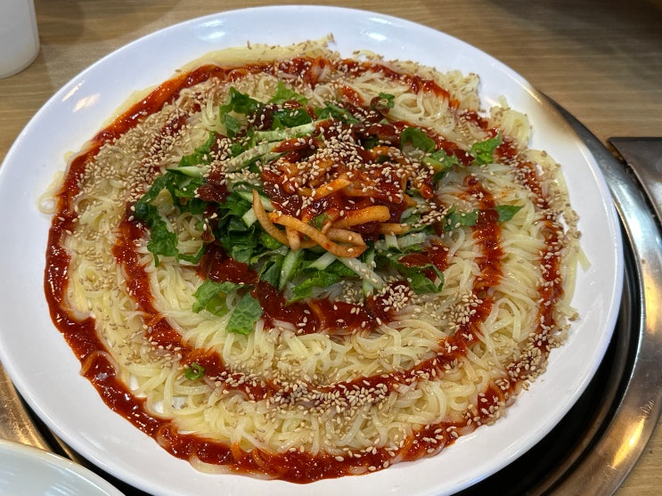  대천 보령 내돈내산 줄서서 먹는 비오키 칼제비 오양손칼국수