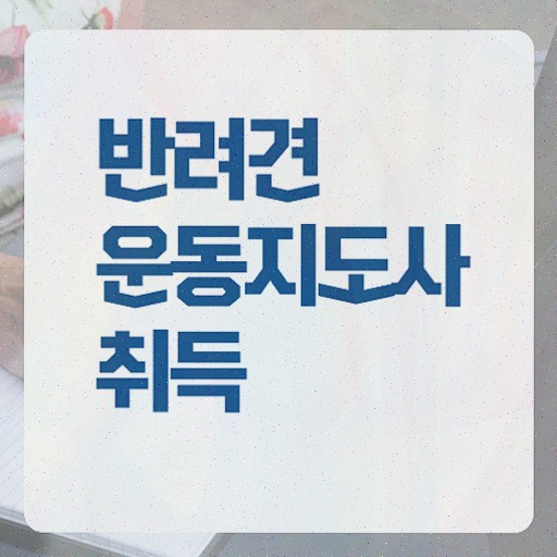  반려견운동지도사 학원 , 반려견운동지도사 취득한 방법 , 교육기관
