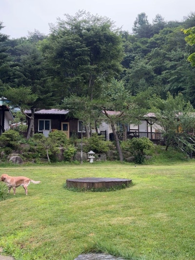 사진 4