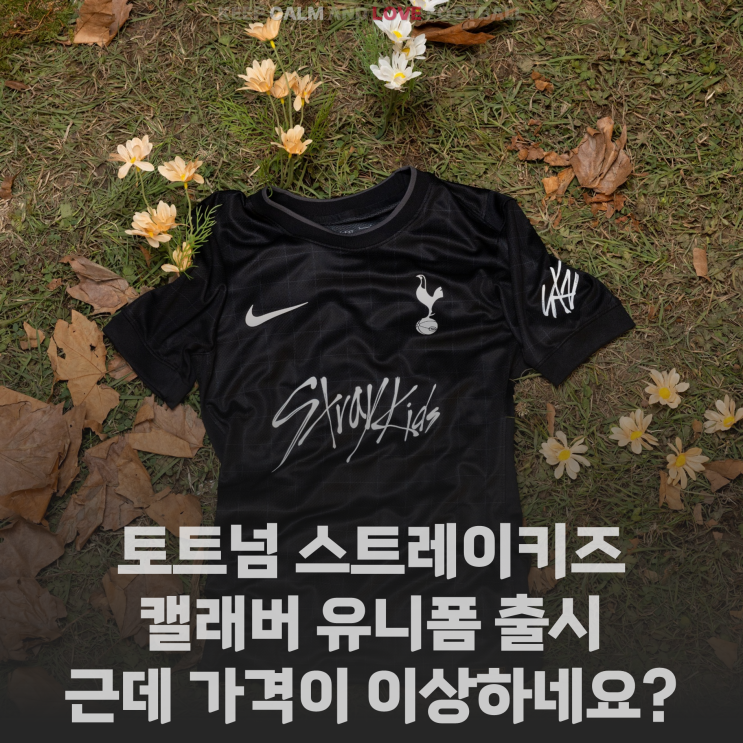 [정보] <b>토트넘</b> <b>스트레이 키즈</b> 캘래버 유니폼 출시... 근데... 