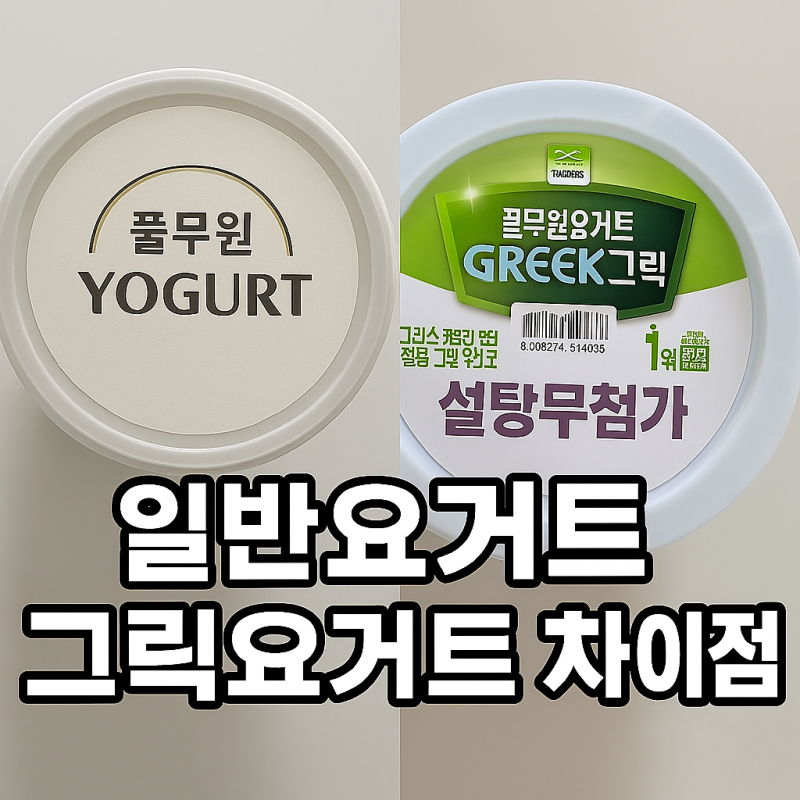일반요거트 그릭요거트 차이 뱃살 쏙 빼주는 그릭요거트 이것과 함께 드시면 더 좋아요.