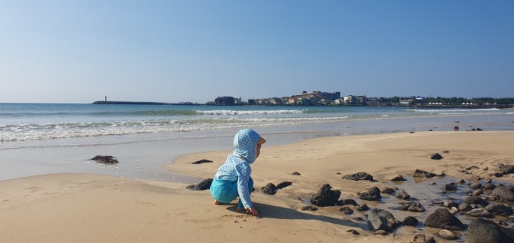  제주 아기랑 가볼만한곳 제주도민만 아는 표선 소금막해변