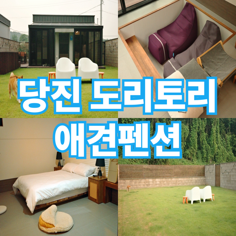 사진 4