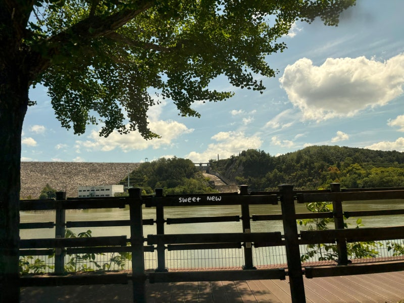 사진 3