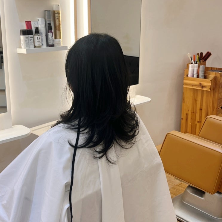  제주 노형미용실 추천 :: 쌤시크노형점 N번째 방문 후기