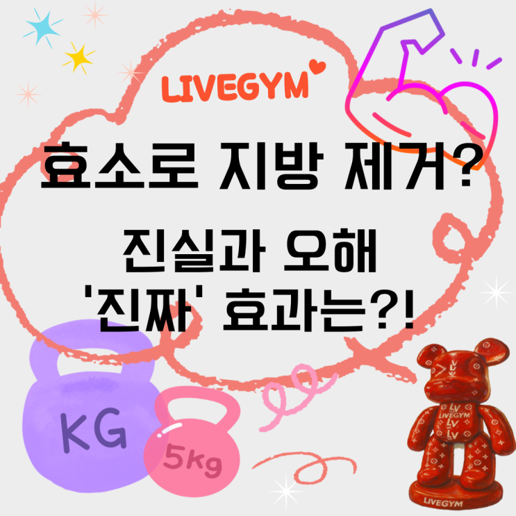  (세교24시헬스/오산헬스장) 효소가 내장 지방을 줄여준다? 효소의 진짜 역할과 올바른 섭취법