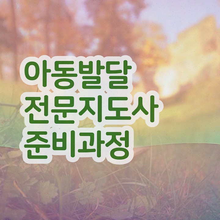  아동발달전문지도사1급자격증 , 아동발달전문지도사 자격증 1급,2급 동시에 취득한 정보 , 전망