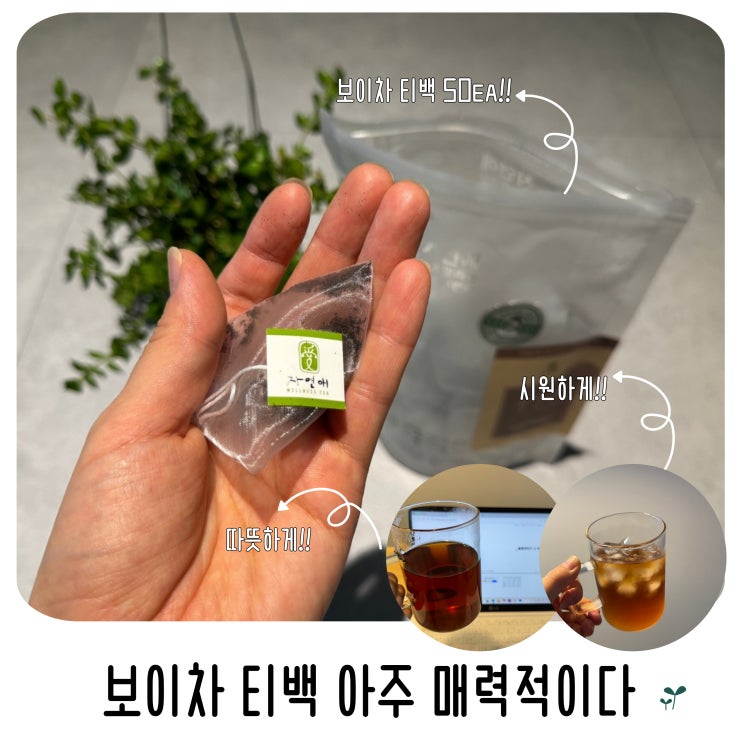  보이차 티백 자연애 간편차에 깊은 풍미까지 아주 매력적이다