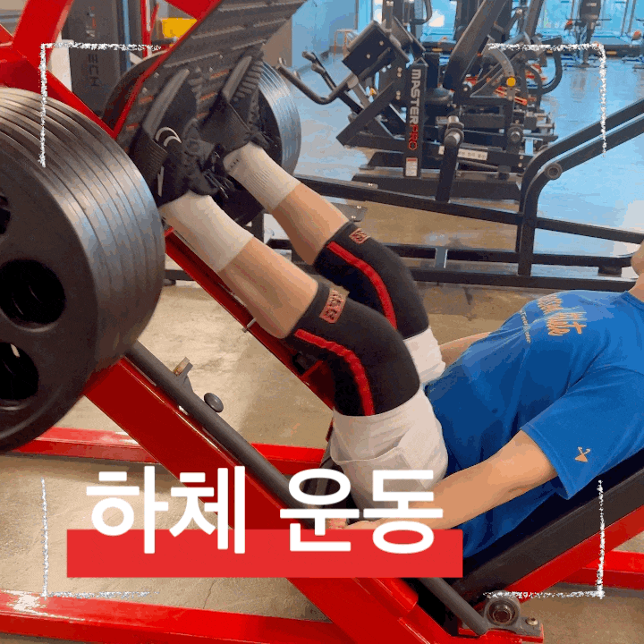  레그프레스 하체 운동 효과 높이는 법! 발 위치별 자극 부위 완전 정리