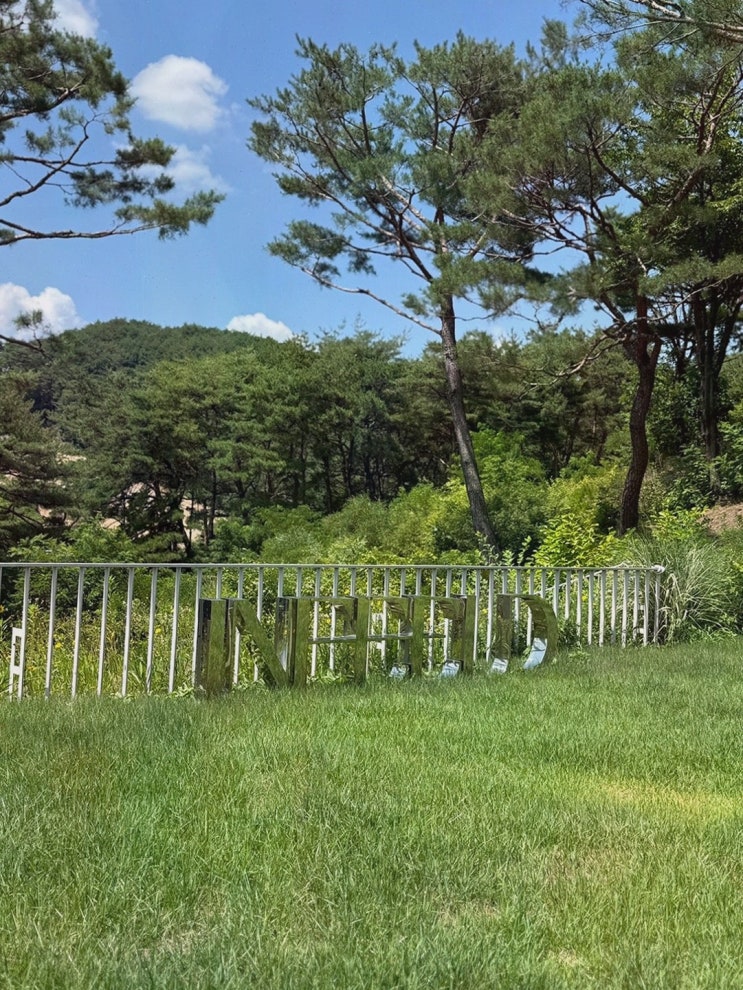  인필드, 맛있는 춘천 베이커리에서 편안한 시간을