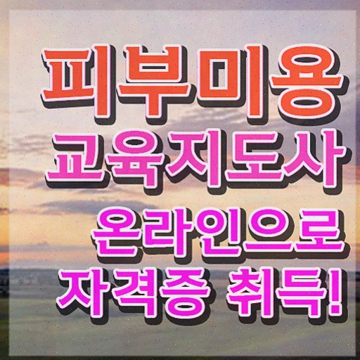  피부관리국가자격증 , 피부미용교육지도사 자격증 한달 만에 합격한 비법 및 전망