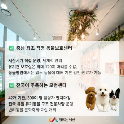 사진 3