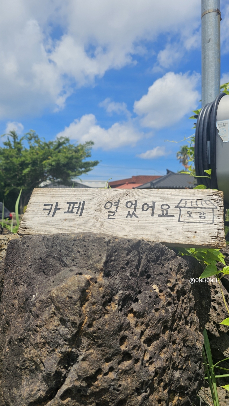  오늘의 감정 오감 제주 동부 세화해수욕장 감성 북카페 [내돈내산]