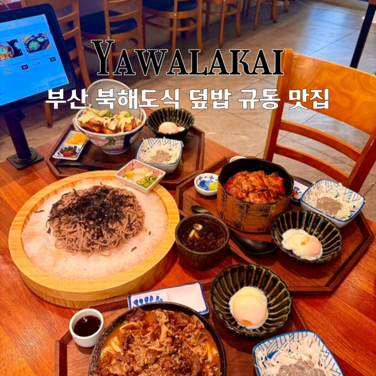  경성대밥집 야와라카이 : 혼밥하기 좋은 북해도식 덮밥 규동 전문점 [부산 남구]