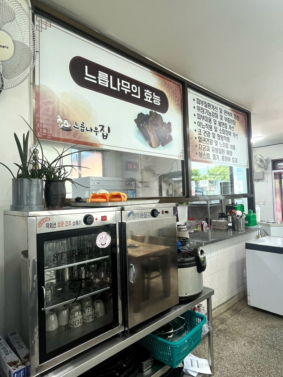 느릅나무집 사진 5