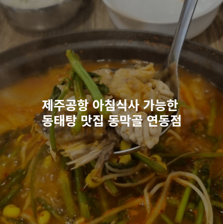  제주공항 아침식사 가능한 동태탕 맛집  동막골 연동점