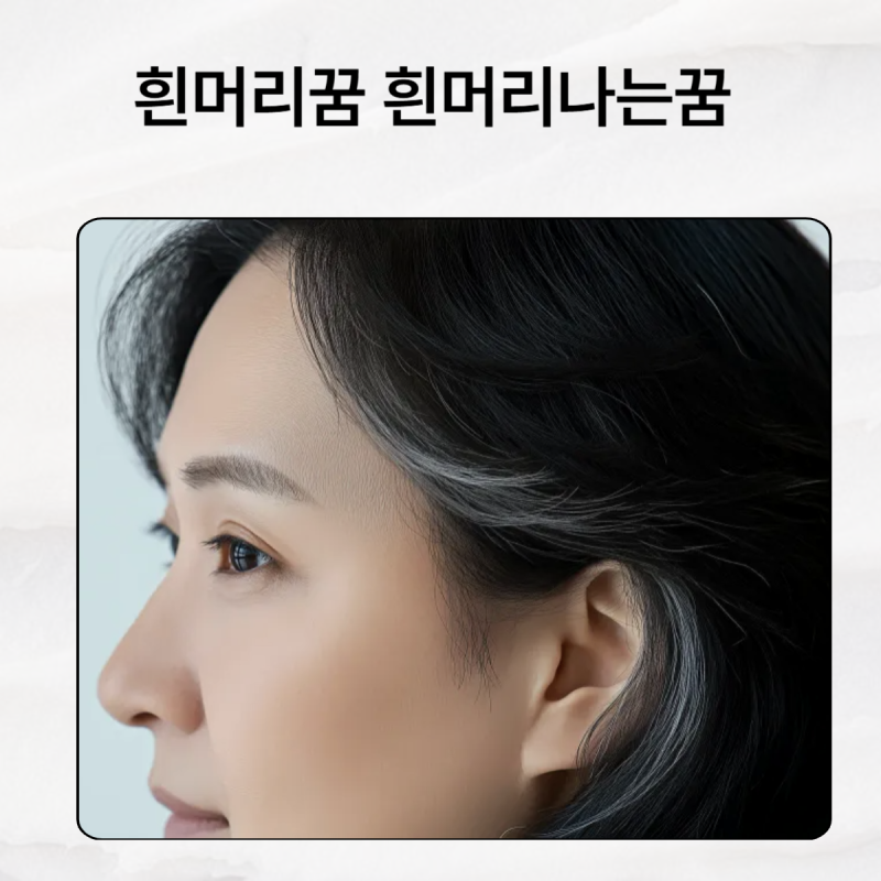 흰머리꿈 흰머리나는꿈 흰머리뽑는꿈 해몽은