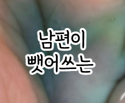 올리브영 비듬샴푸 클로란 샴푸 거품 남자 임산부 추천