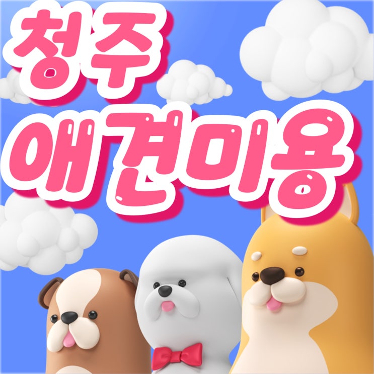  청주애견미용학원 실전 기반 펫뷰티션 교육의 중심지