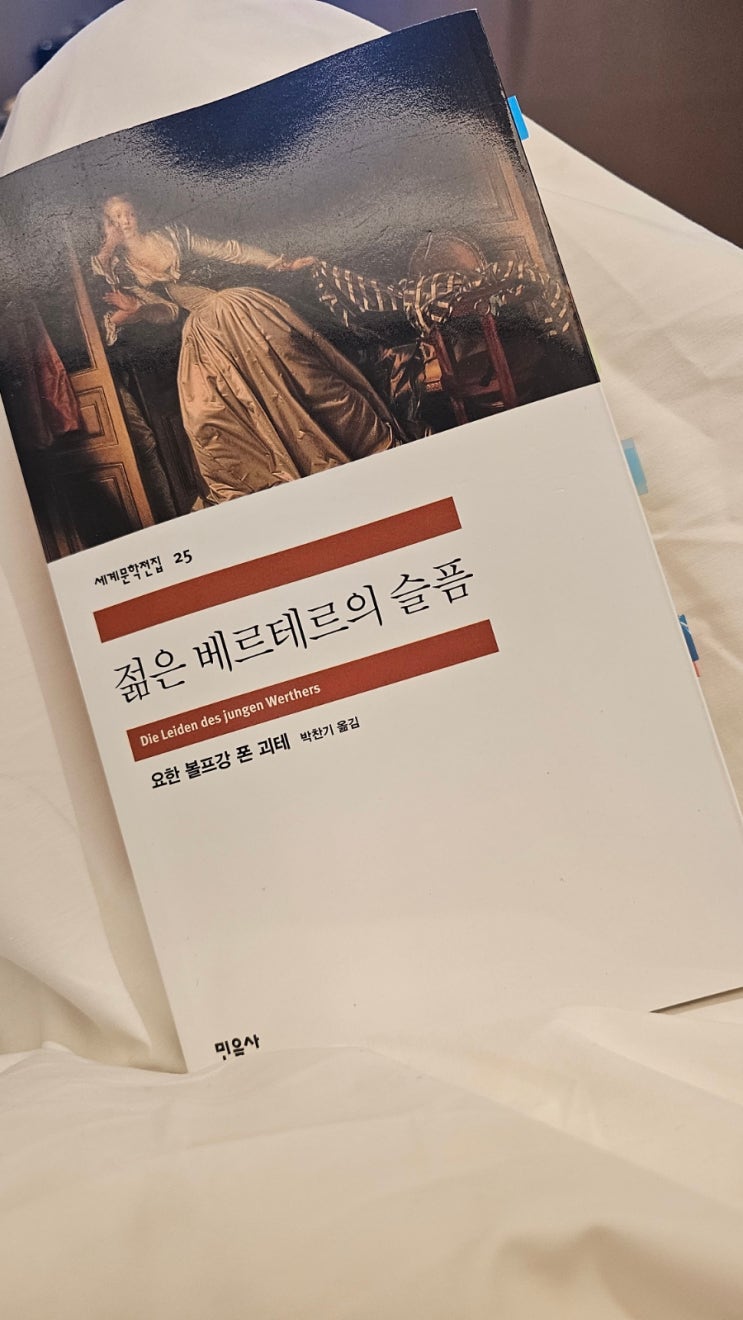  [책리뷰] 젊은 베르테르의 슬픔 / 이룰 수 없는 사랑의 상징이자 청춘의 열병을 그린 작품