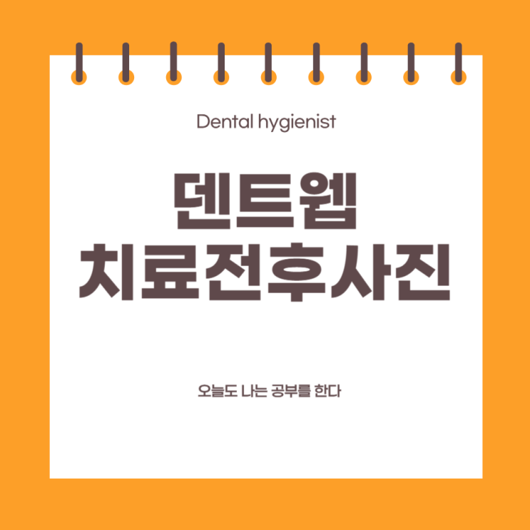  [업무 기록] 20. 덴트웹 _ 보험회사 제출용 치료 전후 사진 담당의 설정