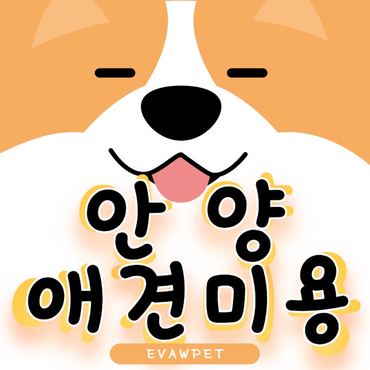  안양애견미용학원 국비보다 흡족도가 높은 수업과 혜택