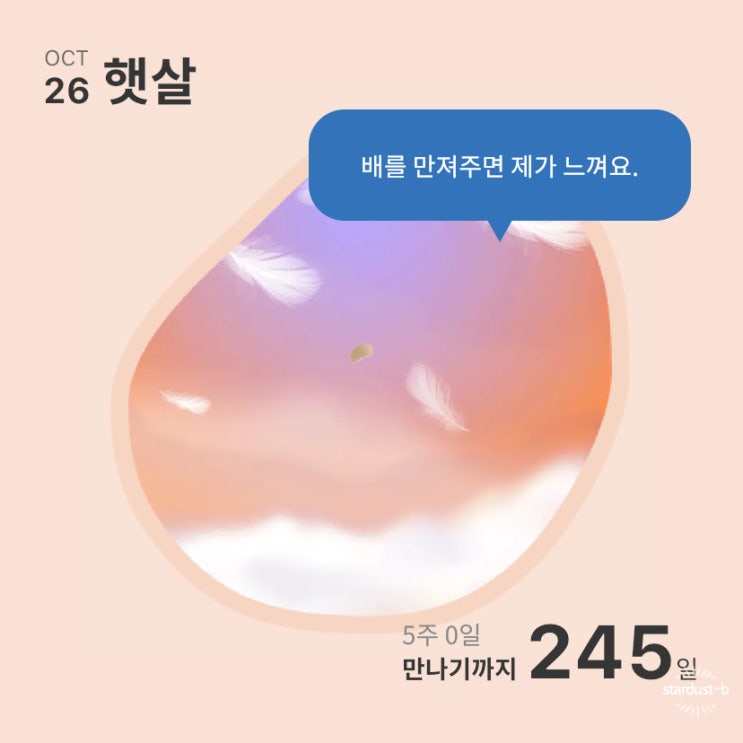  #임신일기- 시험관 2차 피검사 수치 확인, 1차 시도 임신 성공 (+ 임신 확인서)
