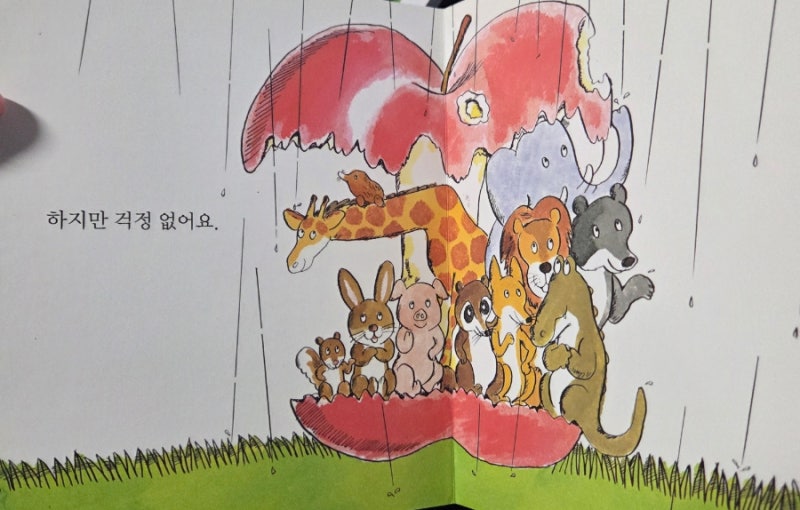영유아도서 아기 첫 보드북 : 달님 안녕, 사과가 쿵