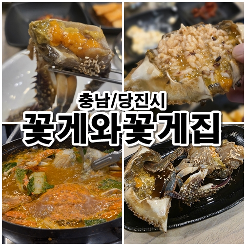  [당진 게국지 맛집] 간장게장, 대하장까지 포함된 세트 구성 가심비 끝! 꽃게와 꽃게집