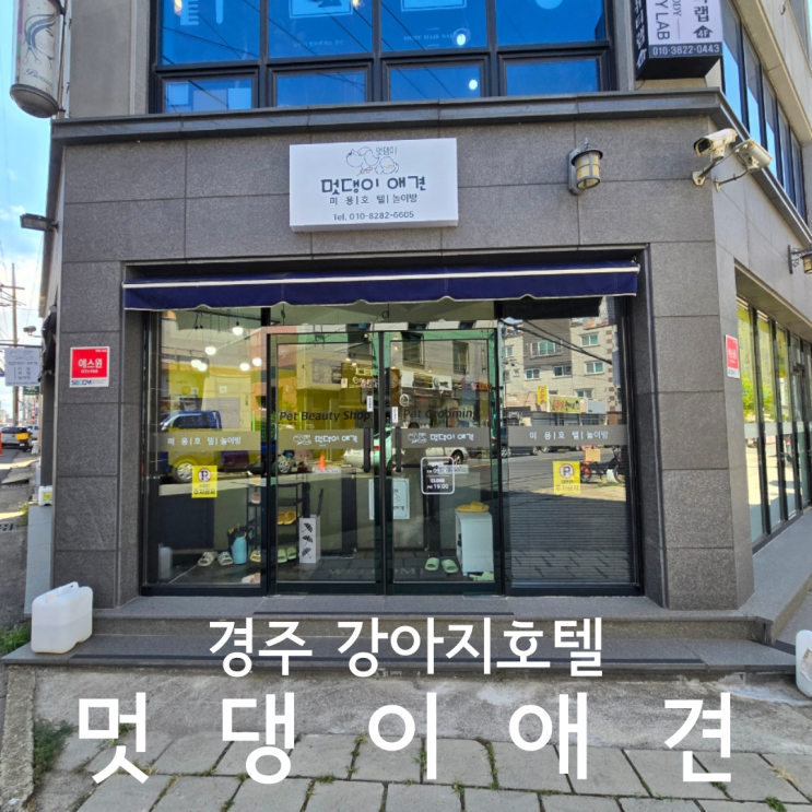  경주월드 근처 강아지 맡길만한곳 멋댕이 애견놀이방 후기
