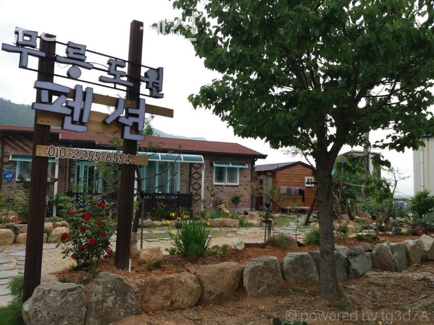 무릉도원펜션 사진 1